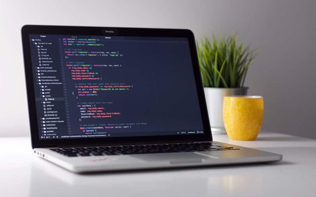 Can Small Businesses Afford Custom Software?